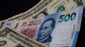 Foto ilustrativa de la nota titulada Precio del dólar en México HOY sábado, 27 de abril del 2024; peso mexicano sigue a la baja