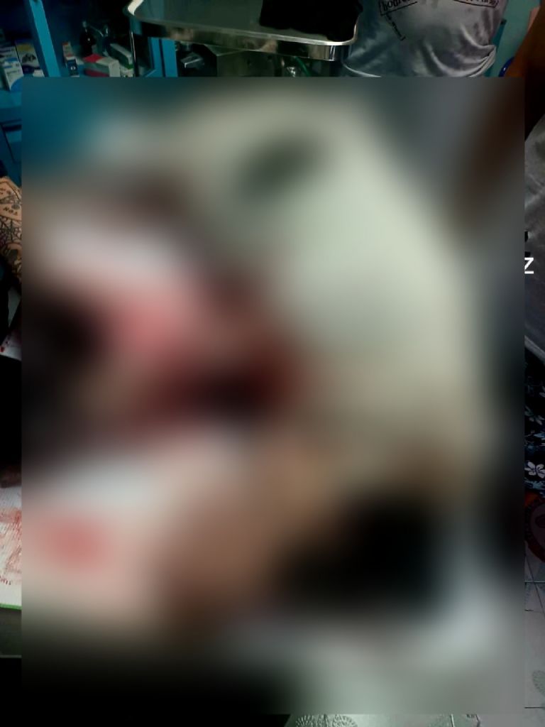 Perrito baleado en CDMX