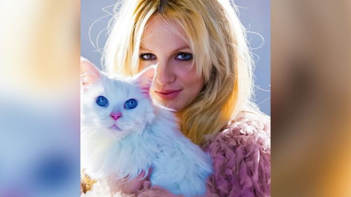 Britney Spears estaría en un "grave peligro"; afirman que es "peligrosamente inestable”