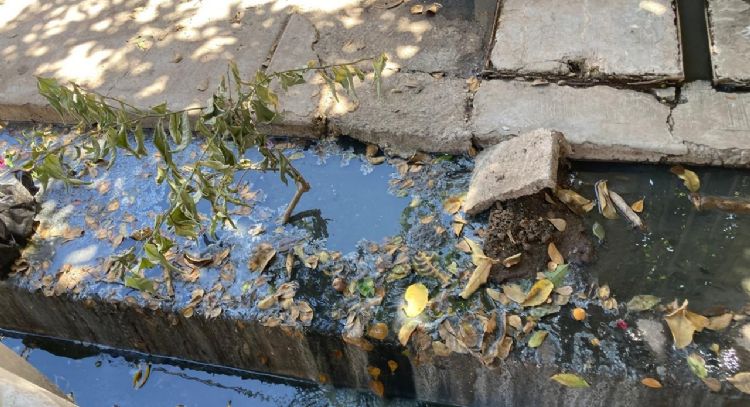 Sonora: En la Prados de la Laguna sufren por los drenajes colapsados