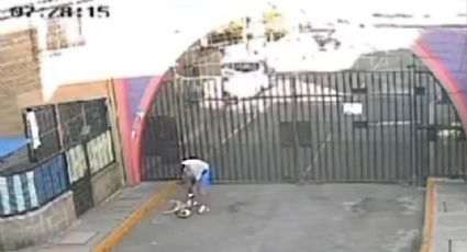 Indignación en Tultepec: Captan a hombre golpeando a su perro en la calle en un FUERTE VIDEO