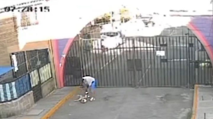 Indignación en Tultepec: Captan a hombre golpeando a su perro en la calle en un FUERTE VIDEO