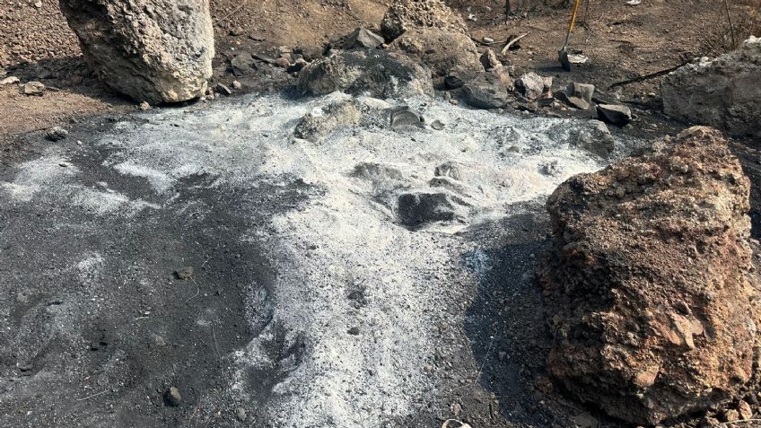 Desmienten a Ceci Flores sobre la presencia de crematorio clandestino en Tláhuac e Iztapalapa