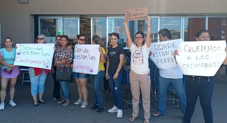 Guaymas: Animalistas protestan en tienda comercial por deshacerse de cachorritos