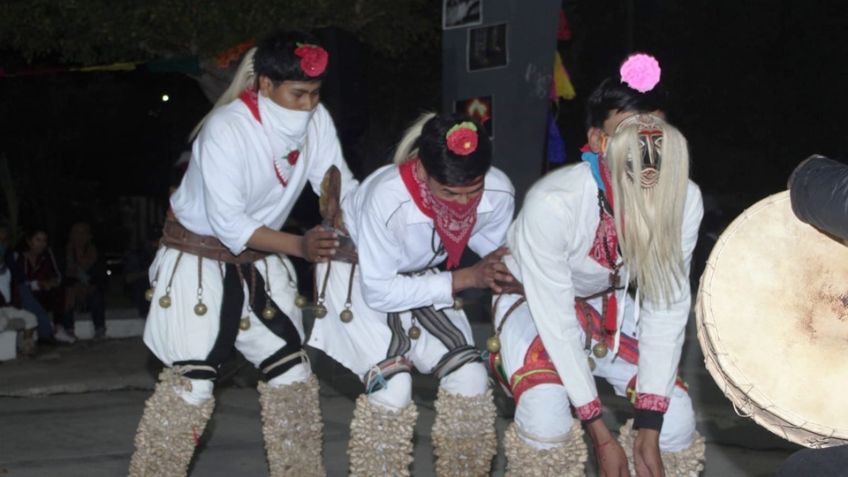 Etnia mayo, sin maestros que transmitan su identidad cultural a los más pequeños