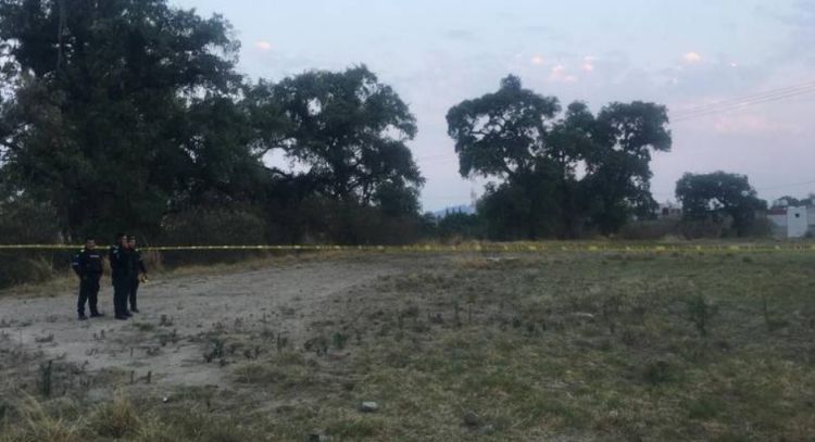 Puebla: Hallan a perro con pierna humana; días atrás encontraron un cráneo en la misma zona