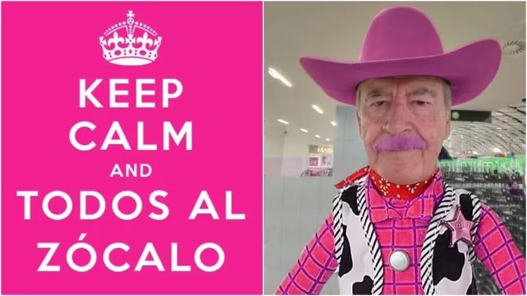 Los mejores memes de la Marea Rosa: El ingenio mexicano en su máxima expresión