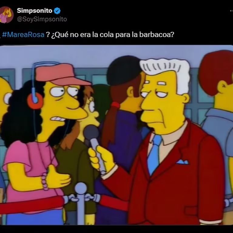 Los mejores memes de la Marea Rosa: El ingenio mexicano en su máxima expresión