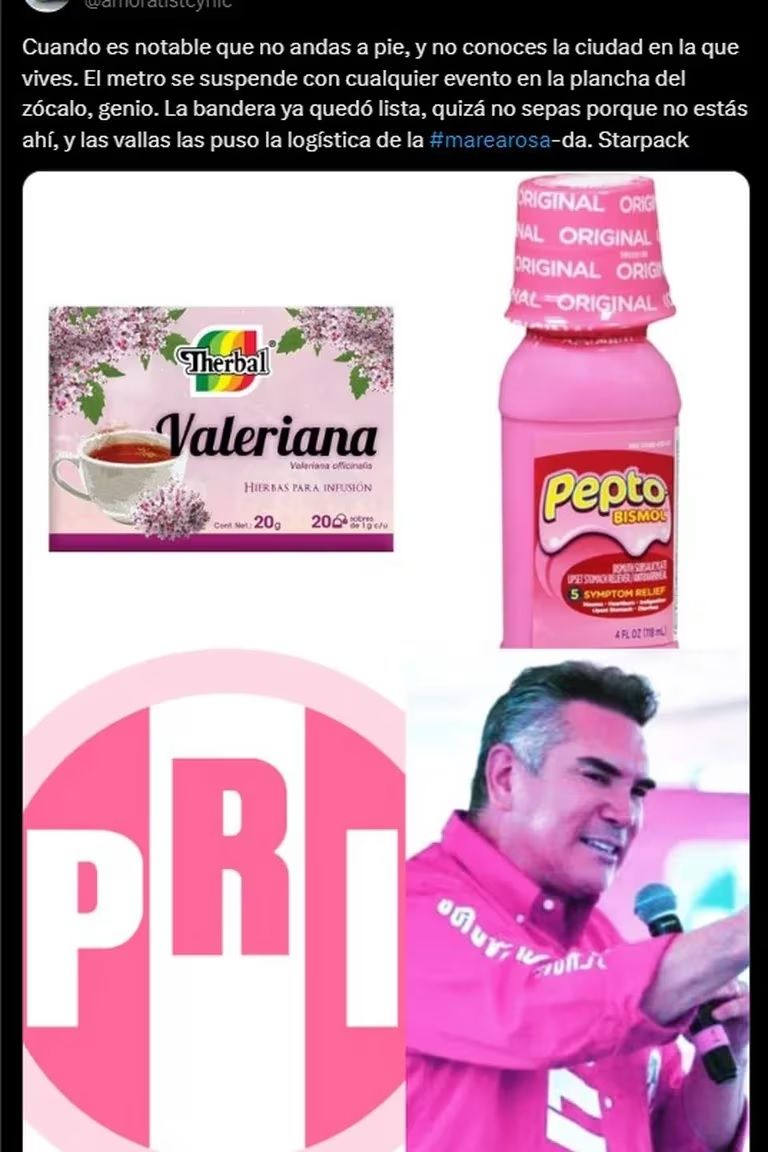 Los mejores memes de la Marea Rosa: El ingenio mexicano en su máxima expresión