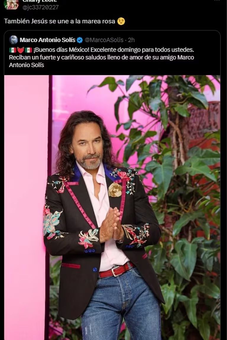 Los mejores memes de la Marea Rosa: El ingenio mexicano en su máxima expresión