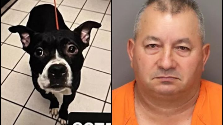 EU: Cae Domingo Rodríguez; lo acusan de matar a su perro 24 horas después de adoptarlo