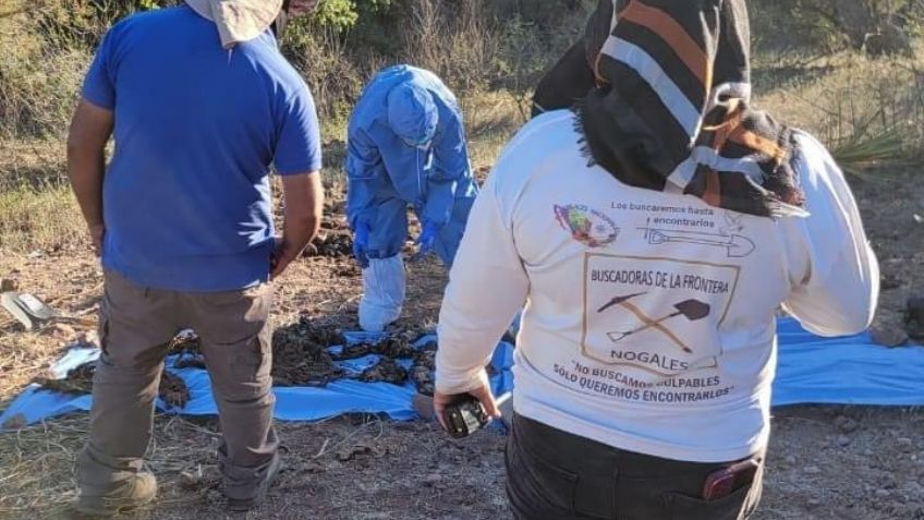 Colectivo destapa hallazgo de fosas clandestinas en Nogales; resguardaban 10 cuerpos