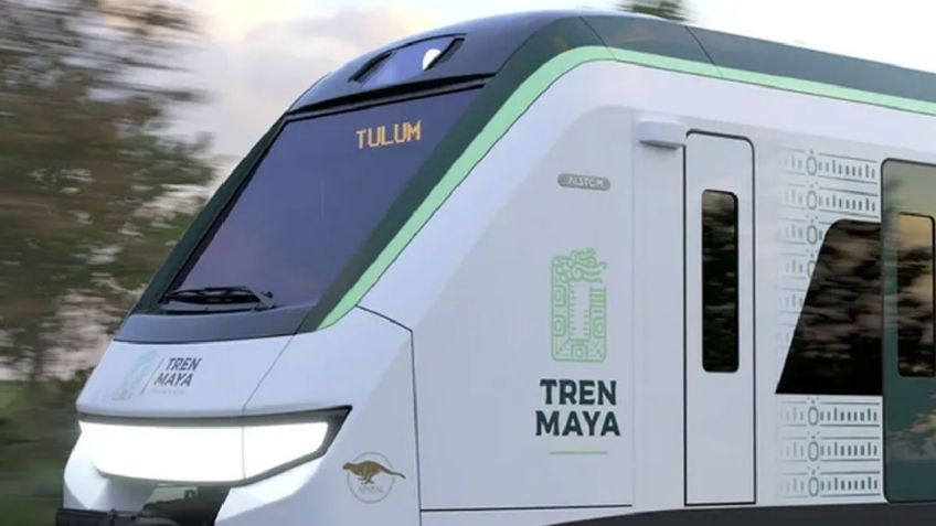 Descubren vestigios de apicultura Maya en las excavaciones del Tren Maya en Quintana Roo