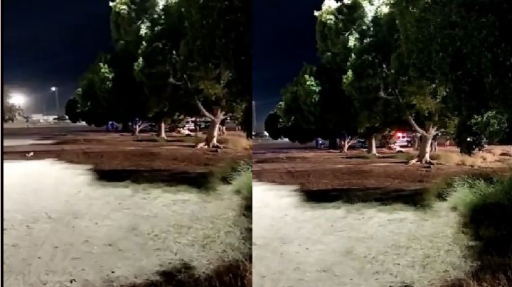 Código Rojo en Ciudad Obregón: Hallan cuerpo sin vida colgado por cancha de futbol