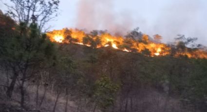 Nuevo incendio forestal azota al Estado de México; brigadistas trabajan en la sierra