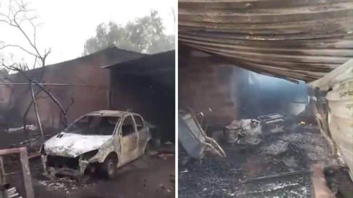 19 perritos mueren quemados tras incendio que consumió un albergue en Silao