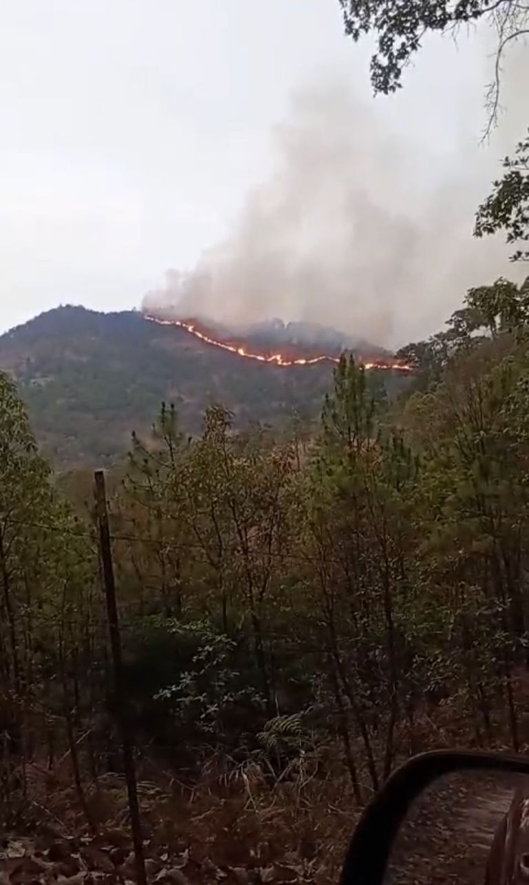 Incendio Forestal en Edomex