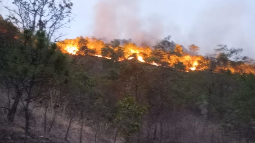 Nuevo incendio forestal azota al Estado de México; brigadistas trabajan en la sierra