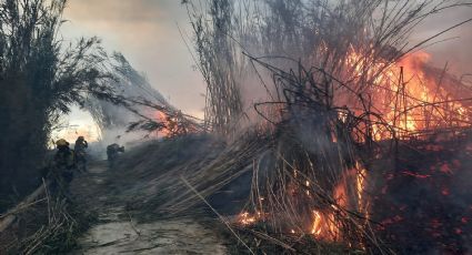 El Estado de México arde entre incendios forestales; la sequía no ayuda