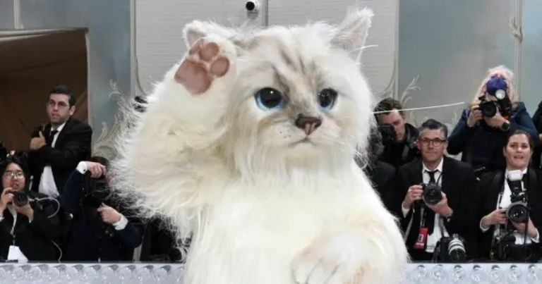 Los Momentos más Memorables de los Peores Vestidos en la Historia de la Gala MET