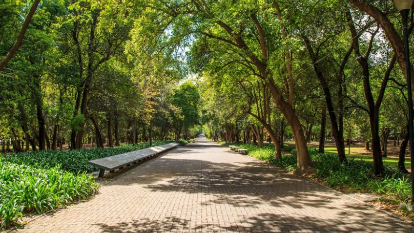 Mujer de 32 años es abusada en el Bosque de Chapultepec y entra en crisis nerviosa
