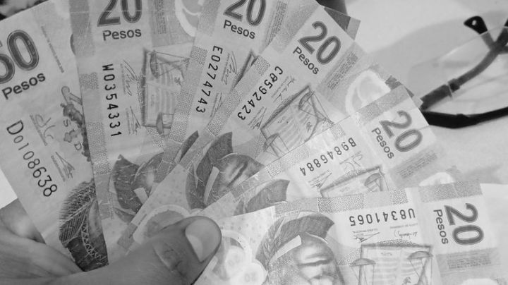 Reparto de Utilidades 2024: Así puedes saber si tu centro de trabajo tuvo ganancias