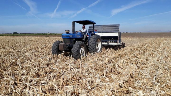 Ejidos del Valle del Mayo piden declaratoria de emergencia por sequía
