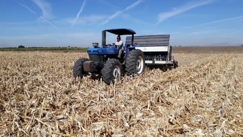 Ejidos del Valle del Mayo piden declaratoria de emergencia por sequía