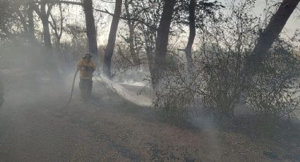 Supuesta quema controlada se propaga y acaba con vegetación del Río Mayo