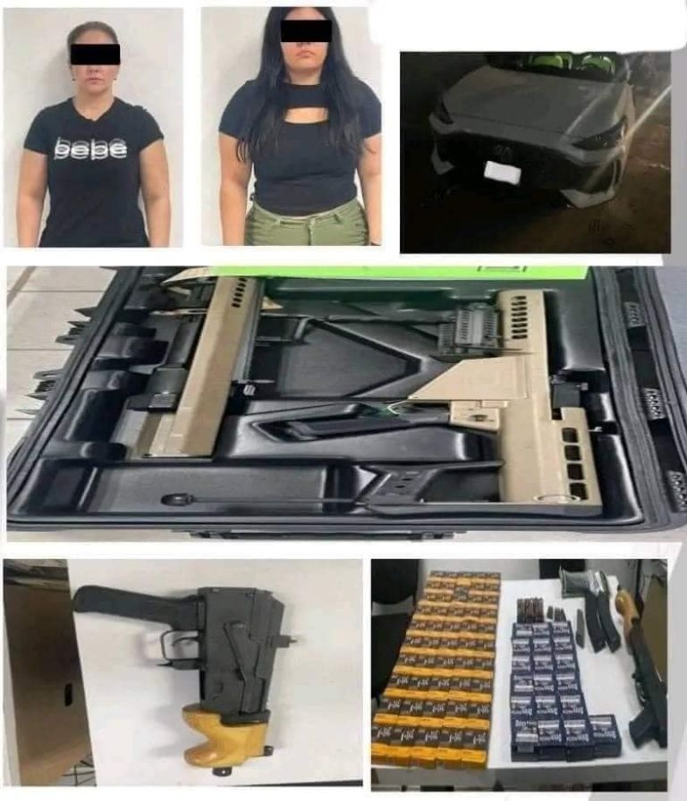 Doctora y su hija intentaron ingresar armas a Sonora. Foto: Facebook