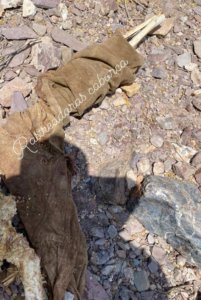 Hallan restos humanos en Caborca. Foto: Facebook