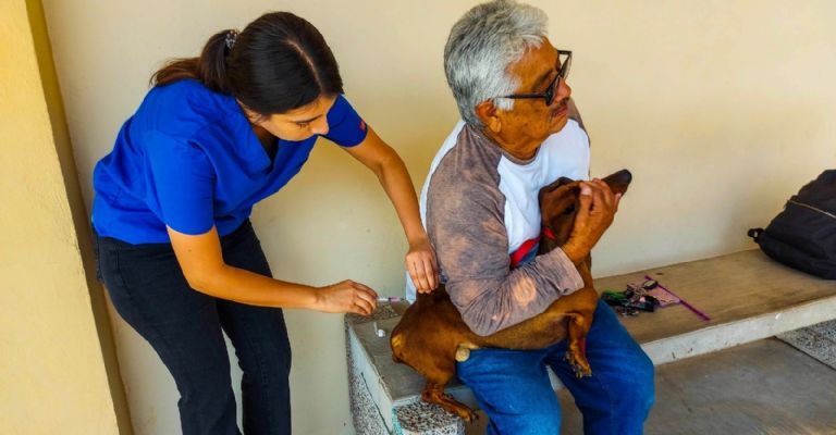 Itson campus Náinari realiza campaña de vacunación antirrábica canina y felina