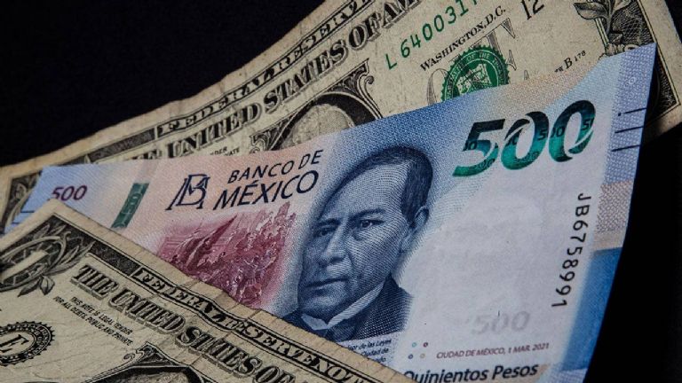 Precio del dólar en México hoy domingo 16 de junio. Foto: Internet