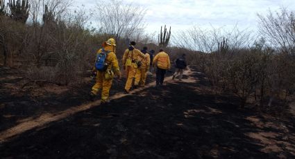 Sur de Sonora registra 21 incendios forestales en lo que va de este 2024