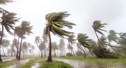 Se forma Tormenta Tropical 'Alberto', primer ciclón de la temporada de huracanes 2024