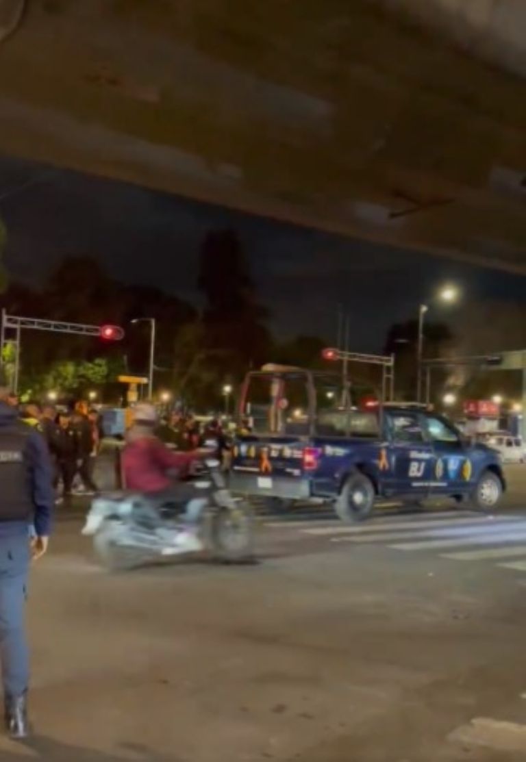 Dulceros atropellados en la Benito Juárez