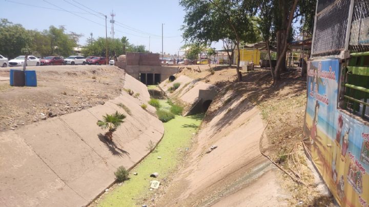 Ciudad Obregón: ‘Coqueros’ urgen limpieza del dren de la Laguna del Náinari