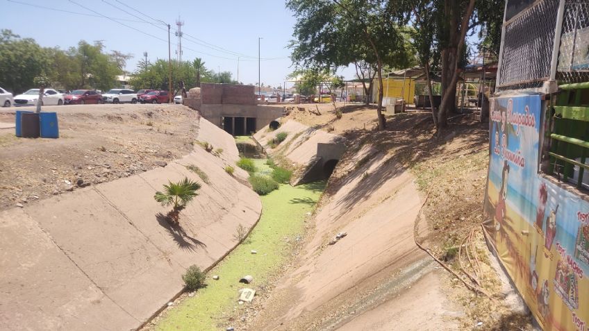 Ciudad Obregón: ‘Coqueros’ urgen limpieza del dren de la Laguna del Náinari