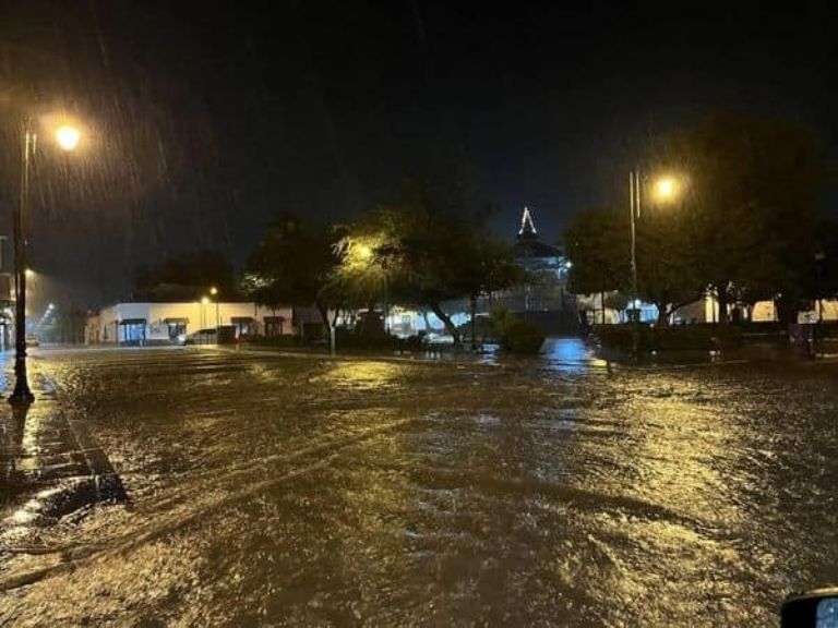 Lluvias en Sonora provocan caídas de árboles e inundaciones. Foto: Twitter