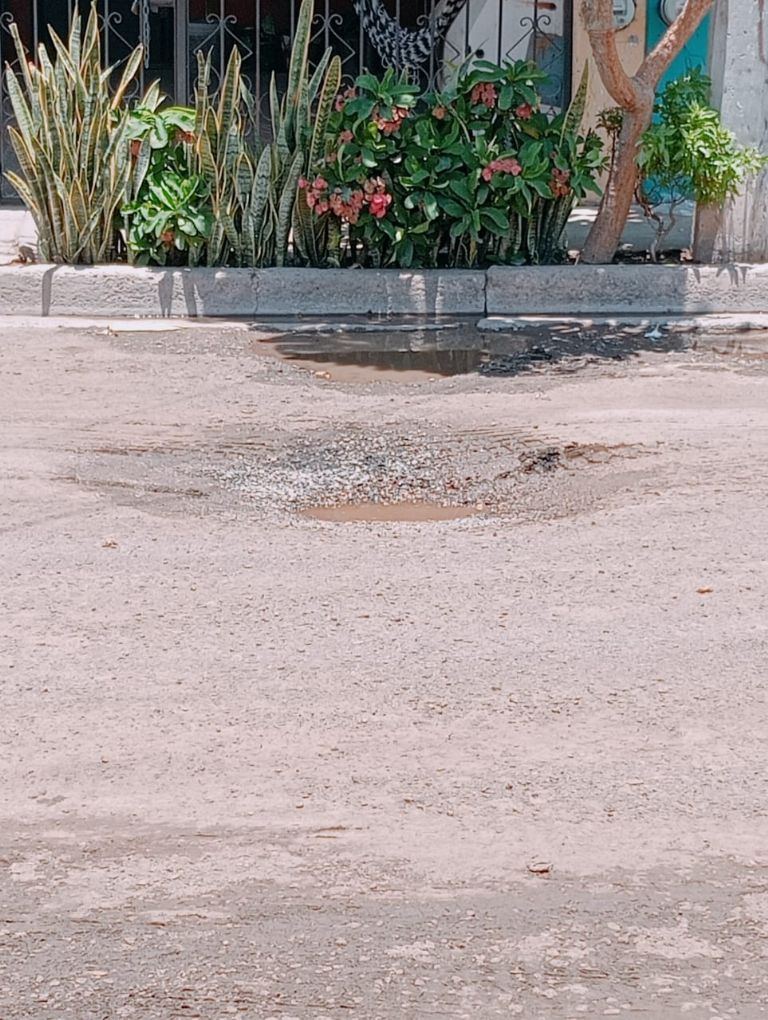 Probable formación de socavón en la colonia Valle Dorado