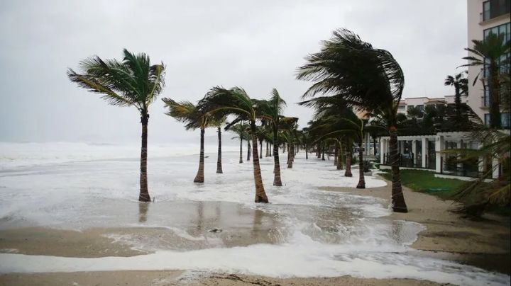 Clima en México: Ondas Tropicales 5 y 6 causarán tormentas HOY viernes 28 de junio; Conagua