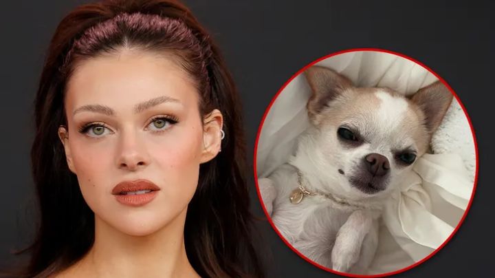 Nuera de Victoria Beckham busca justicia tras la trágica muerte de su chihuahua Nala