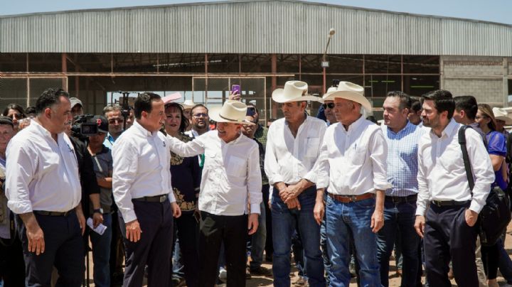 Constellation Brands beneficia a la unión ganadera regional con entrega de bagazo