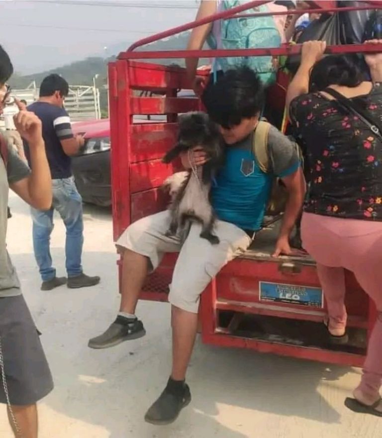 Un niño deja Tila en compañía de su mascota