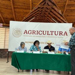 Productores del sur de Sonora sumarán otro mes sin apoyo para trigo; entregan pliego petitorio