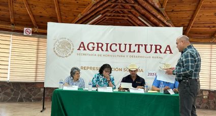 Productores del sur de Sonora sumarán otro mes sin apoyo para trigo; entregan pliego petitorio