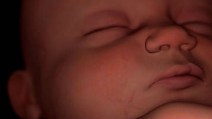 FGE de San Luis Potosí confirma el hallazgo de un feto en plena vía pública; esto se sabe