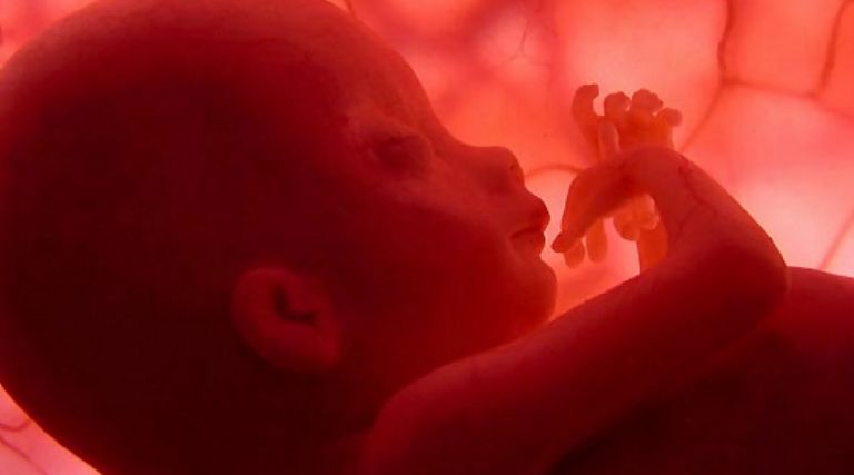 Hallan feto en San Luis Potosí 