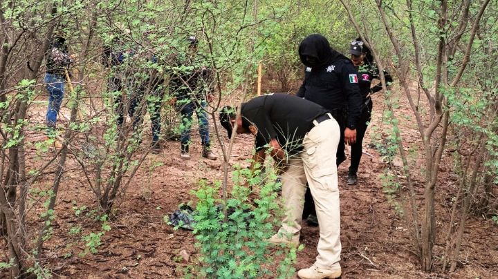Rastreadoras de Ciudad Obregón hallan restos humanos semienterrados en predio de Cajeme
