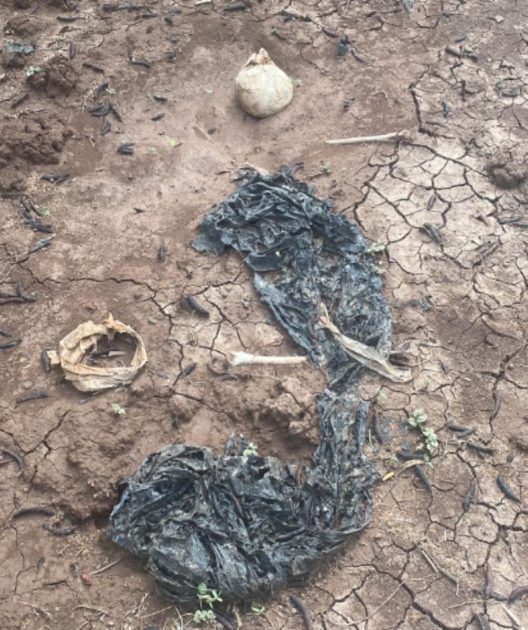 En el lugar fueron localizados el cráneo y varios huesos